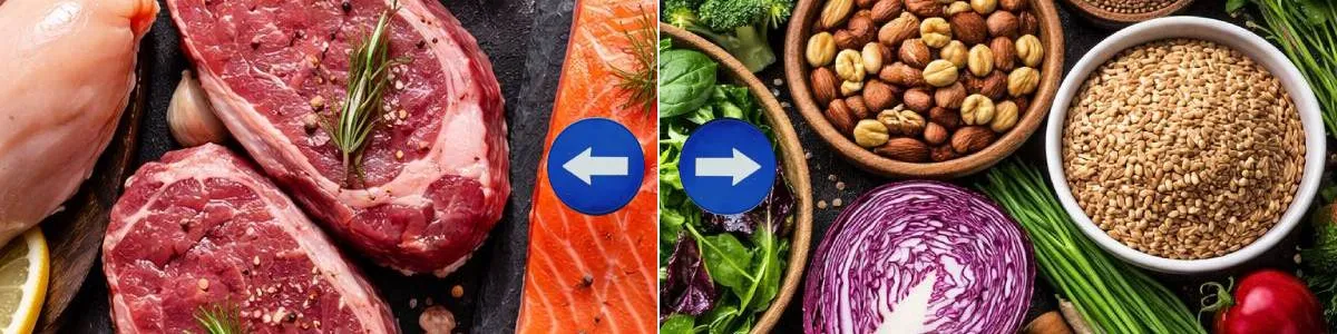 Miért nem csak hús, és miért nem csak növény?